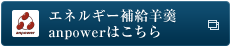 エネルギー補給羊羹 anpower(アンパワー) はこちら